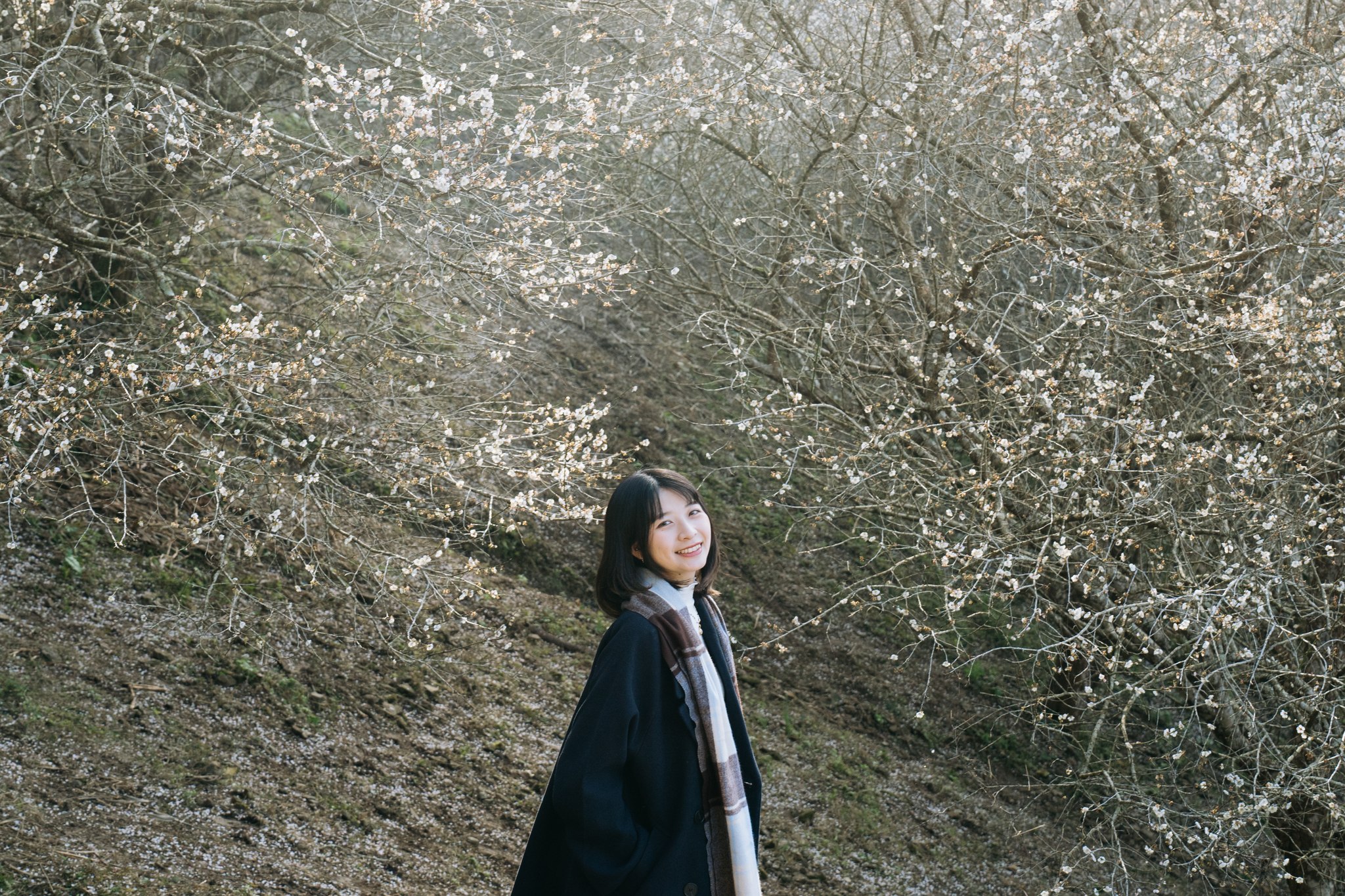 小嫻 2025.01